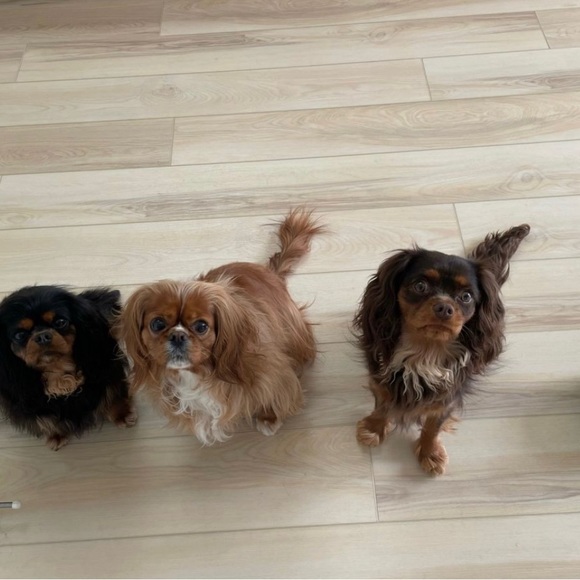 About Me - Picture 13 of 16